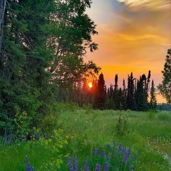 Mens - Picture 1 of 7